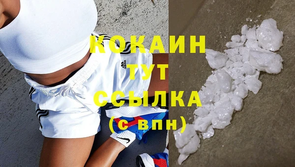 соль ск Богородск
